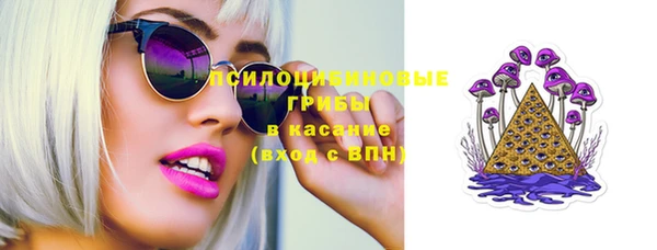 ешки Сатка
